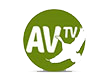 AV TV logosu